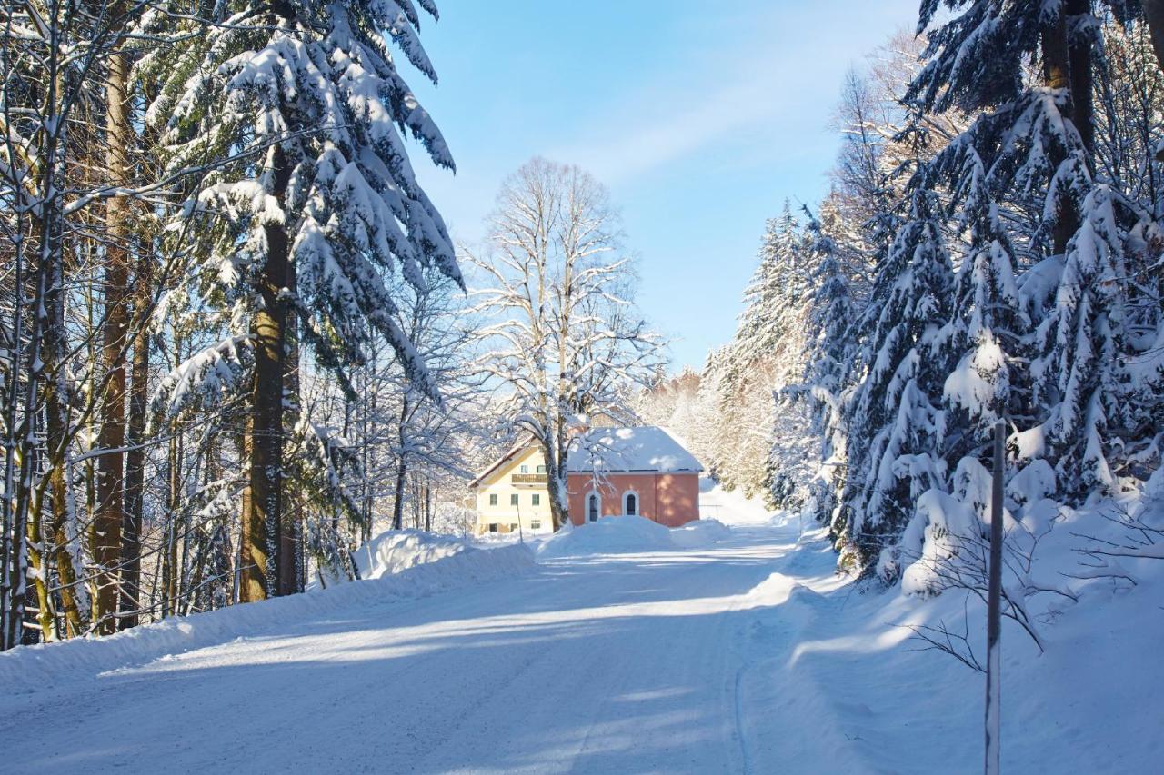 Forsthaus Apartment Holzschlag Eksteriør billede